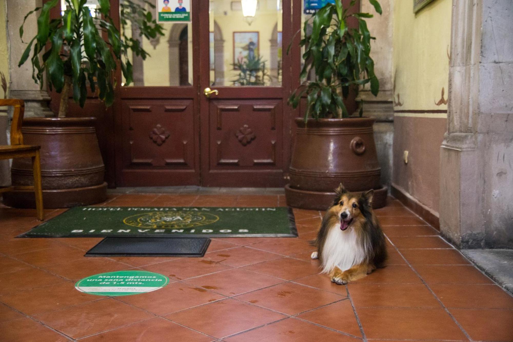 Hotel Posada San Agustin 杜兰戈 外观 照片