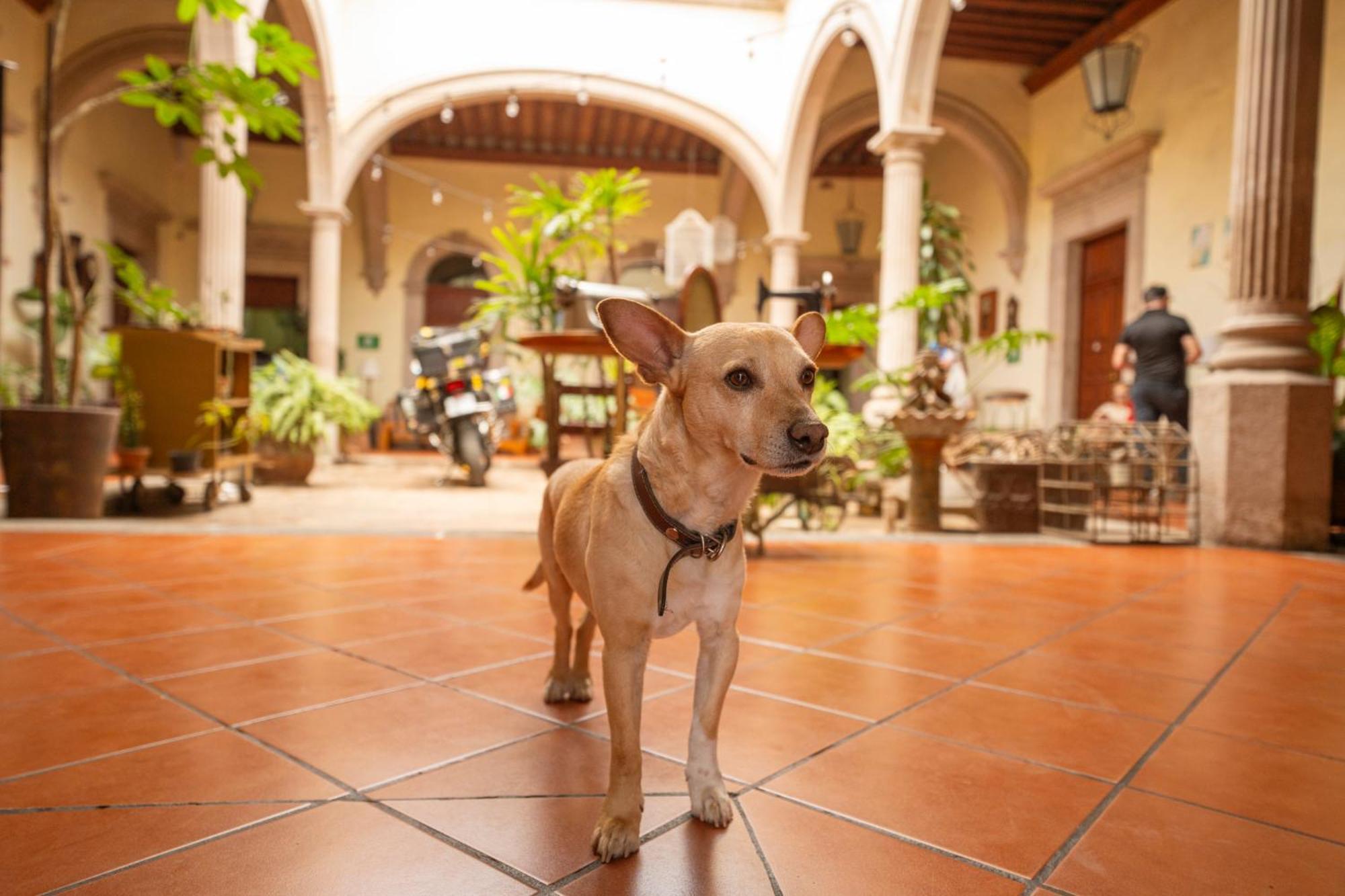 Hotel Posada San Agustin 杜兰戈 外观 照片